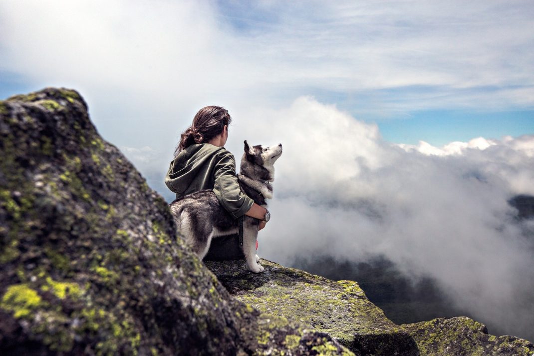 pourquoi assurer son chien
