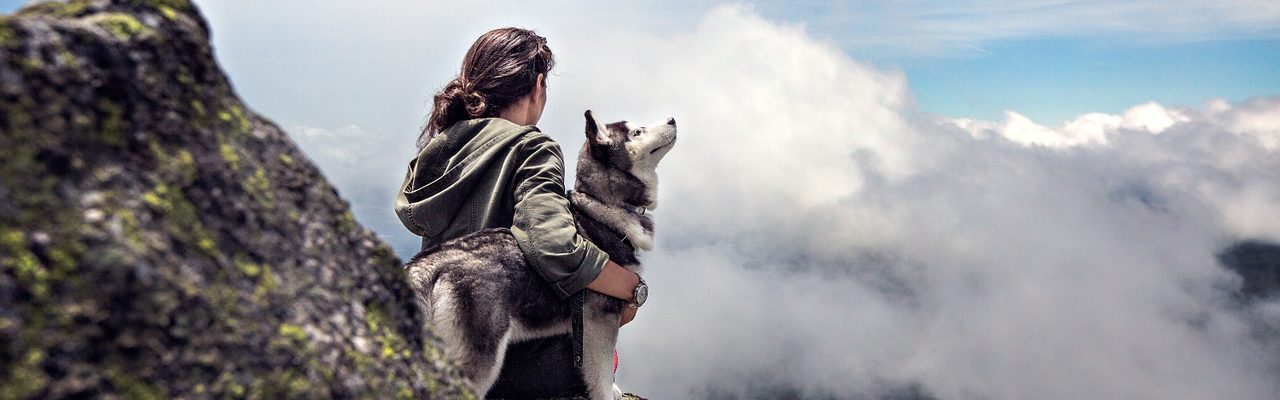pourquoi assurer son chien