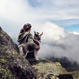 pourquoi assurer son chien