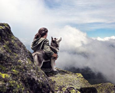 pourquoi assurer son chien