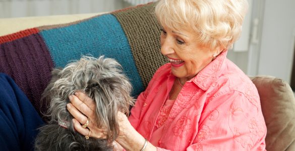 senior et chien