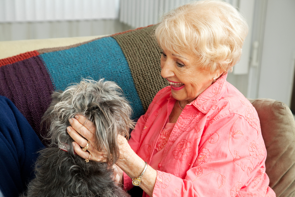 senior et chien